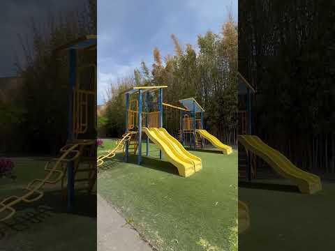 Previsualización del video