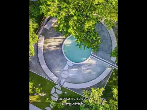 Previsualización del video