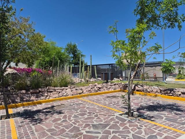 Foto de la galeria de imagenes