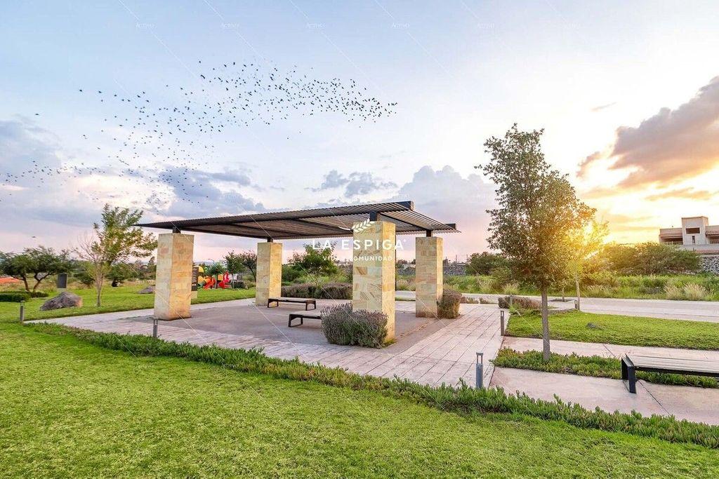 Foto de la galeria de imagenes