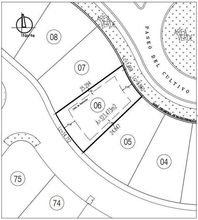 Foto de la galeria de imagenes