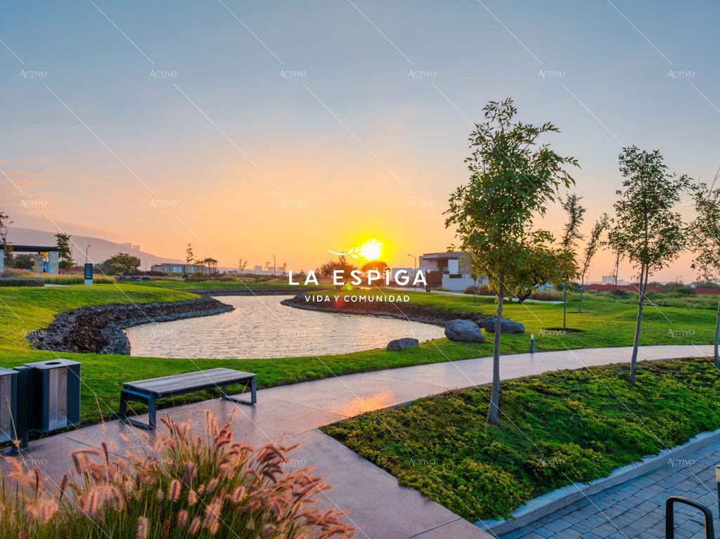 Foto de la galeria de imagenes