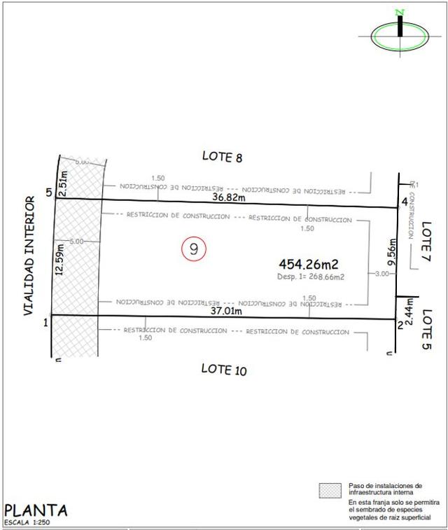 Foto de la galeria de imagenes