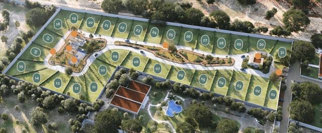 Foto de la galeria de imagenes