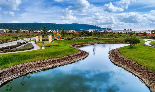 Foto de la galeria de imagenes