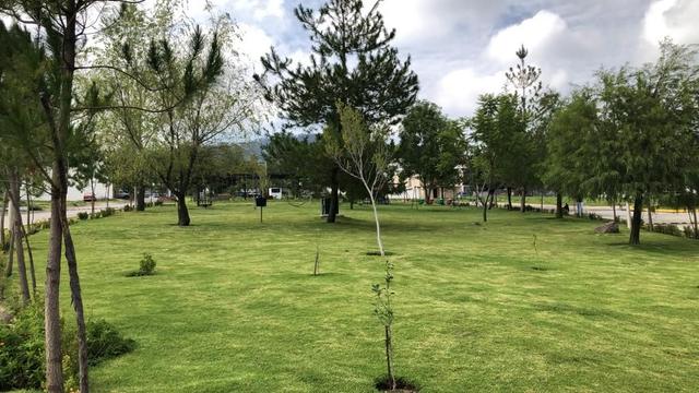 Foto de la galeria de imagenes