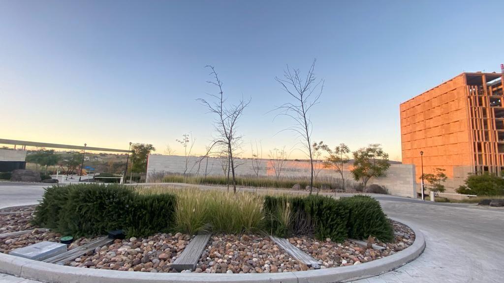 Foto de la galeria de imagenes