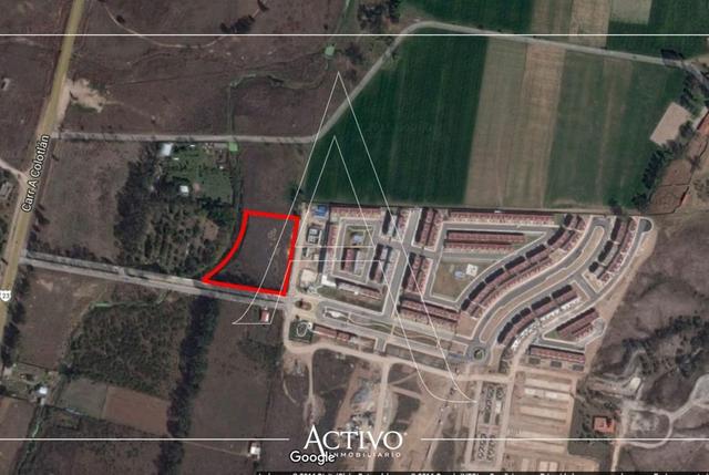 Foto de la galeria de imagenes