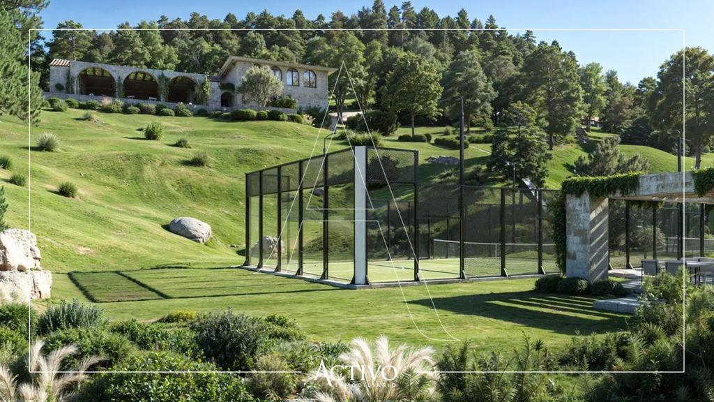 Foto de la galeria de imagenes